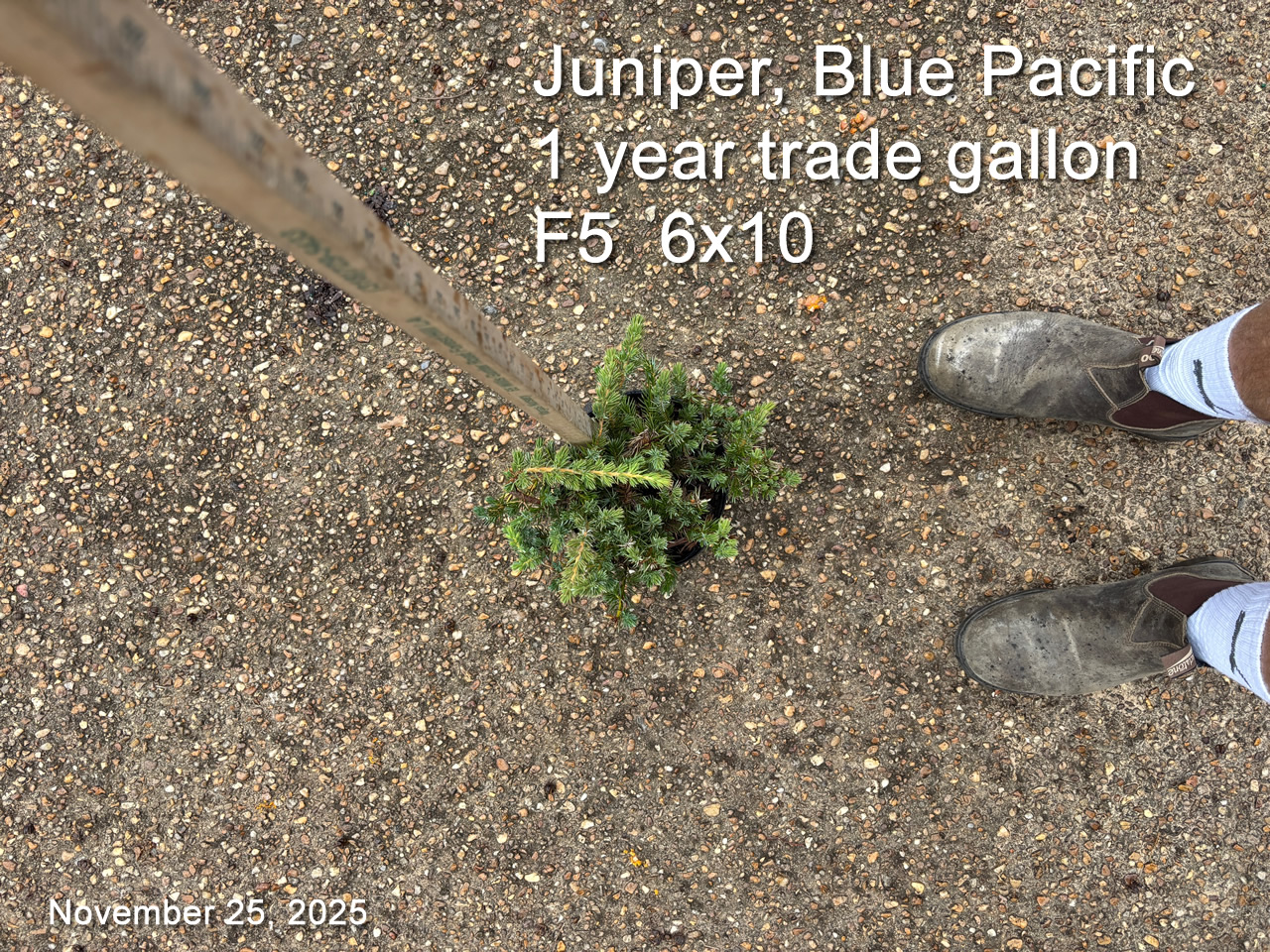 gallery/jbpac1yt f5 nov25.jpg